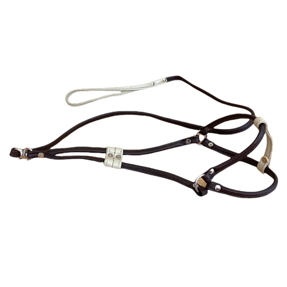 Brown Cream Harness and Leash